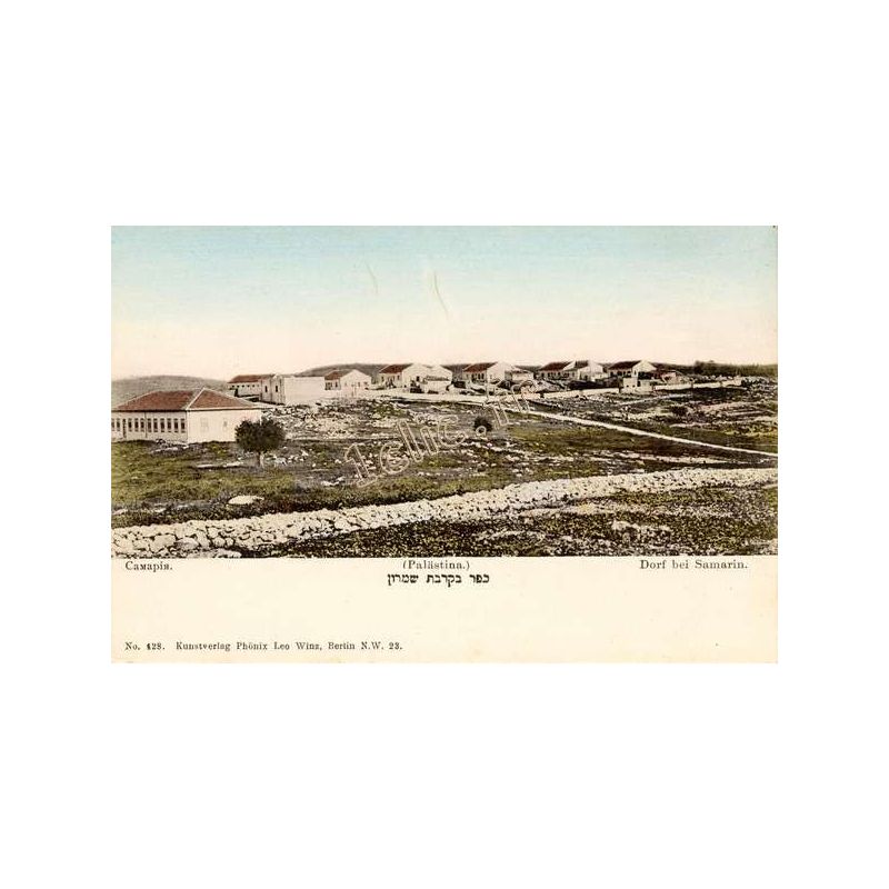 Palestine-Samarin