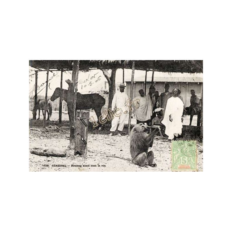 Senegal