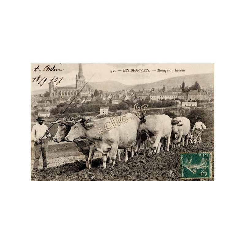 Agriculture