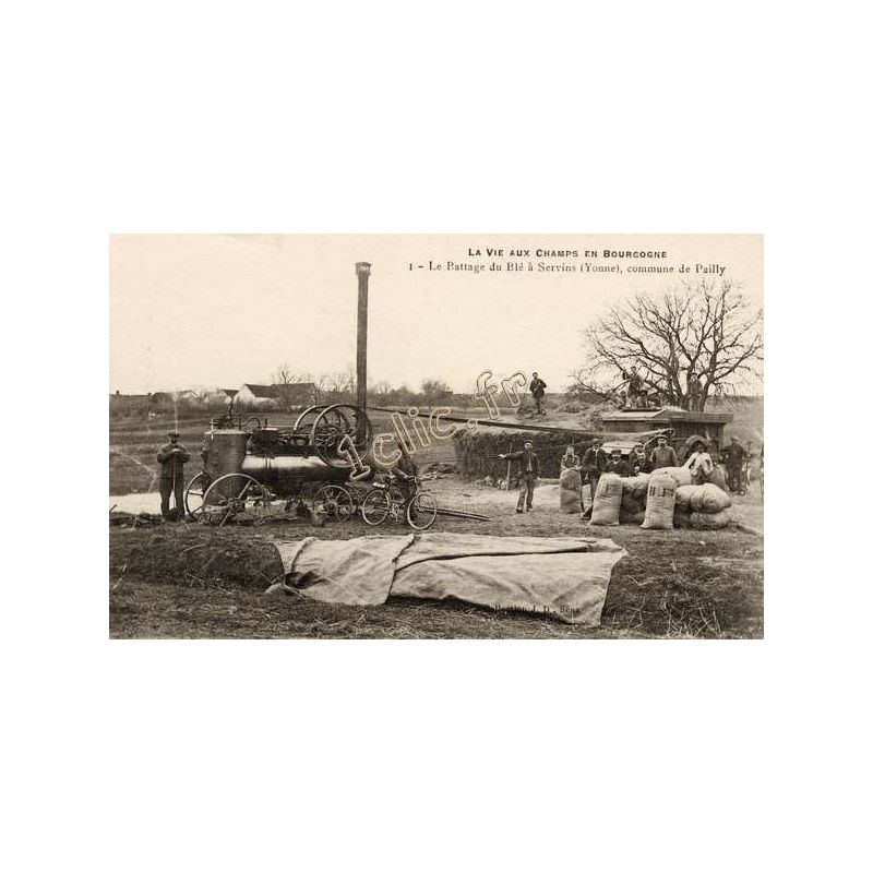 Agriculture