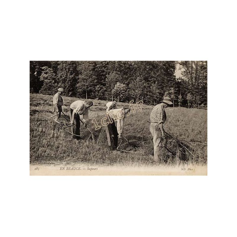 Agriculture