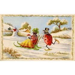 Coccinelles