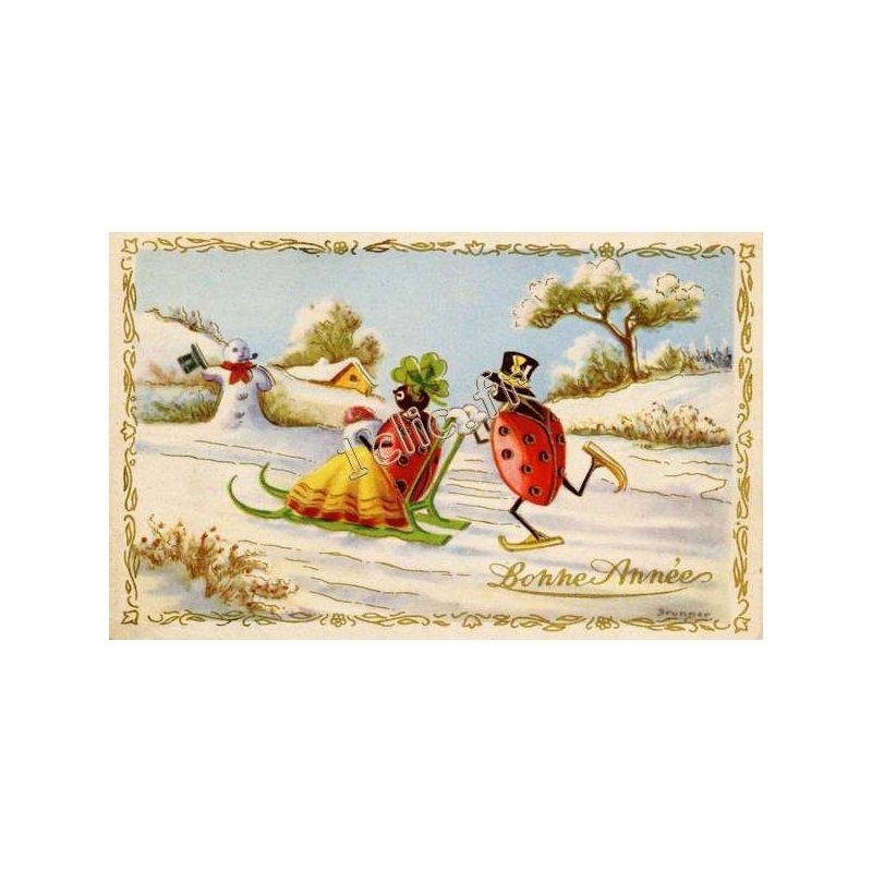 Coccinelles