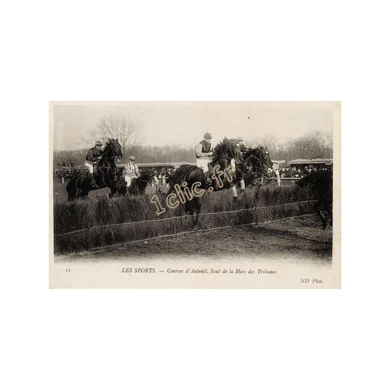 Chevaux