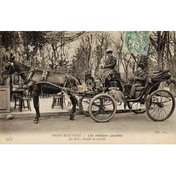 Chevaux