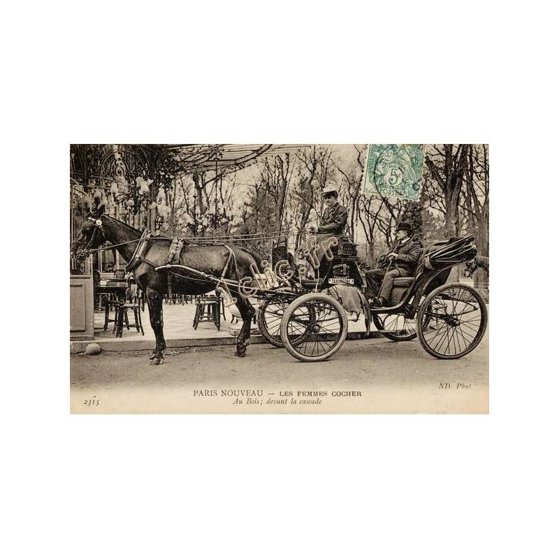 Chevaux