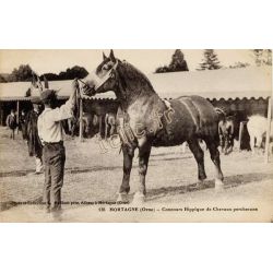 Chevaux