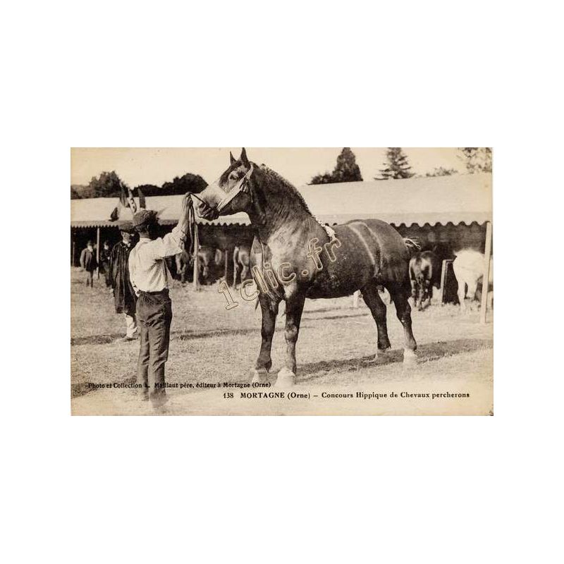 Chevaux