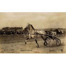 Chevaux