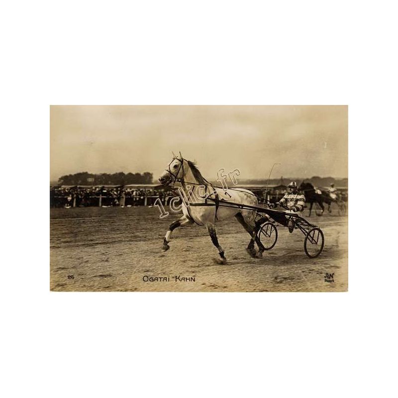 Chevaux
