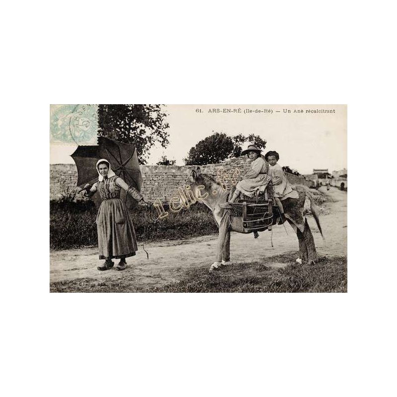 Chevaux