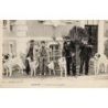Chiens