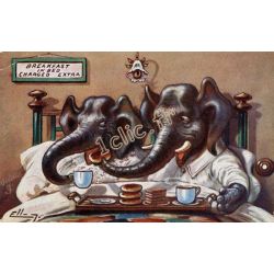 Elephants