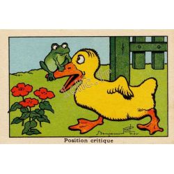 Grenouilles