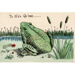 Grenouilles