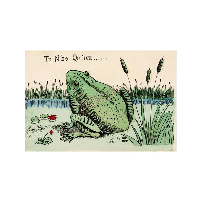 Grenouilles