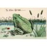 Grenouilles