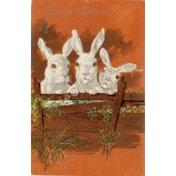 Lapins