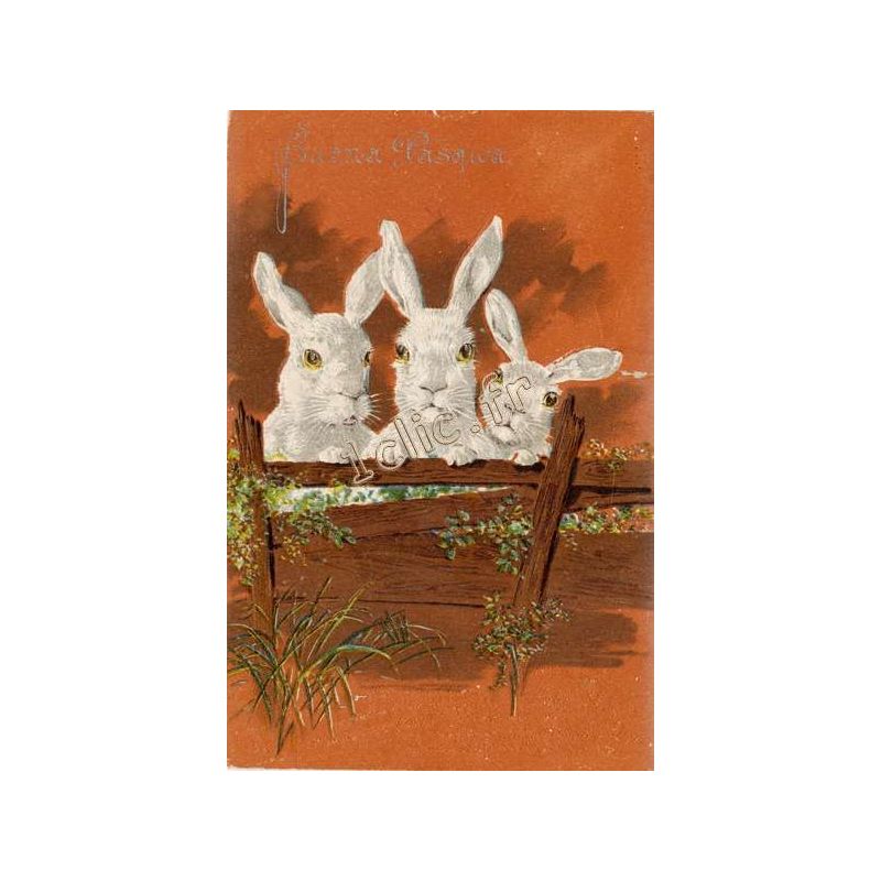 Lapins