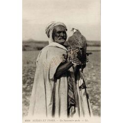 Oiseaux
