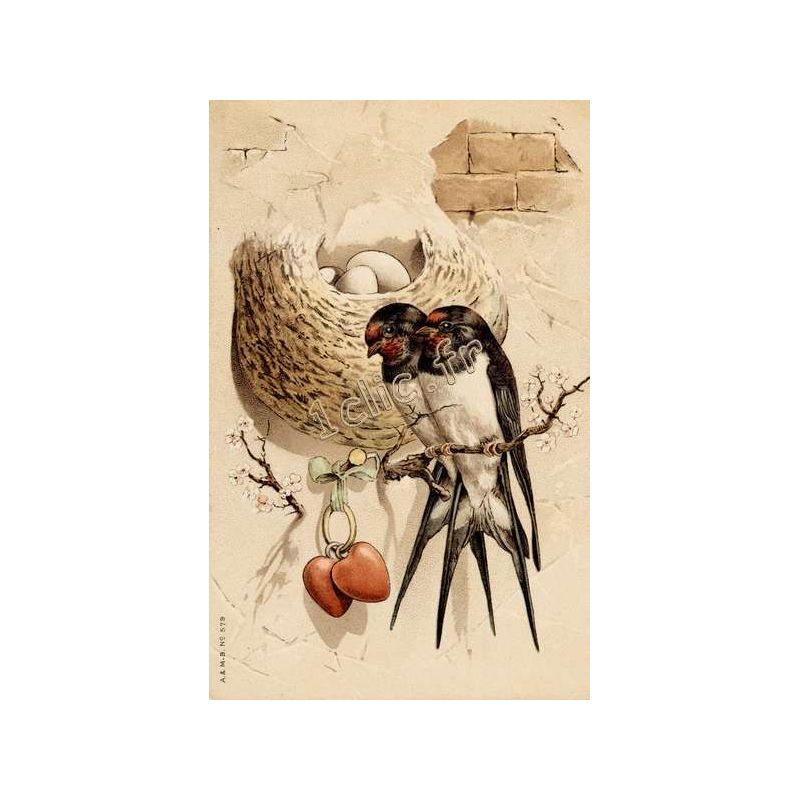 Oiseaux