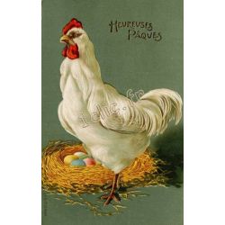 Poules