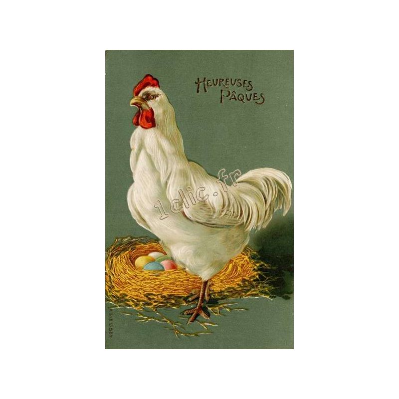 Poules