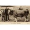 Vaches