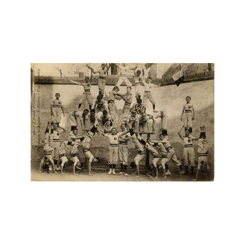 Gymnastique