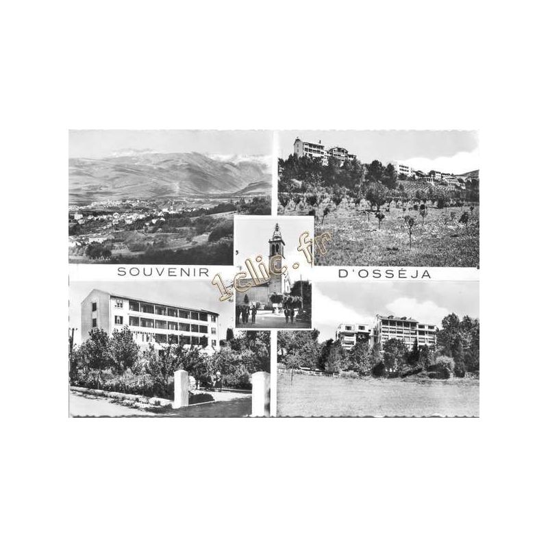 Osseja