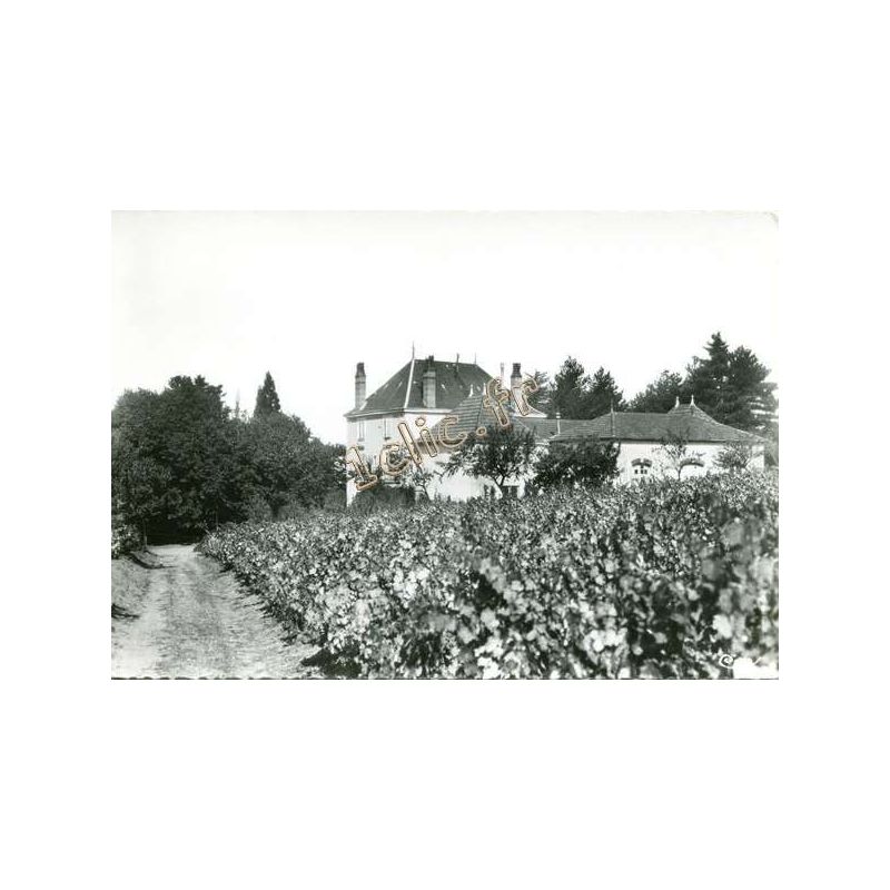Quincie-En-Beaujolais