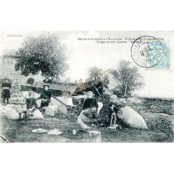 Metier Du Bois