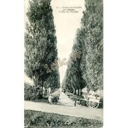 Saint-Martial-De-Vitaterne