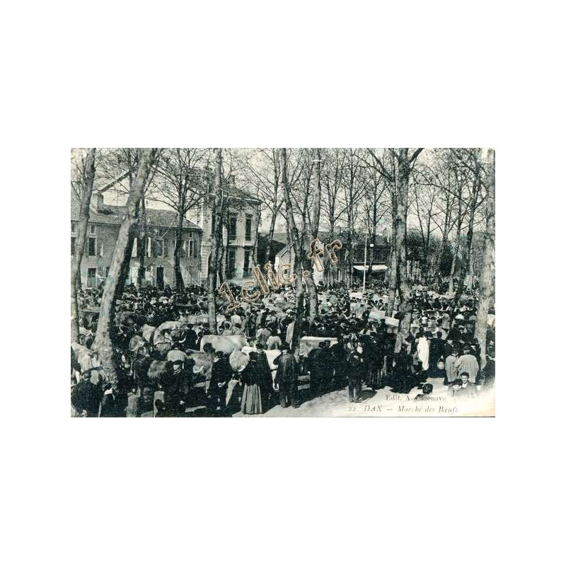 Dax