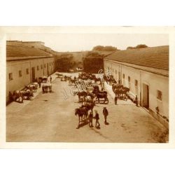 Staoueli