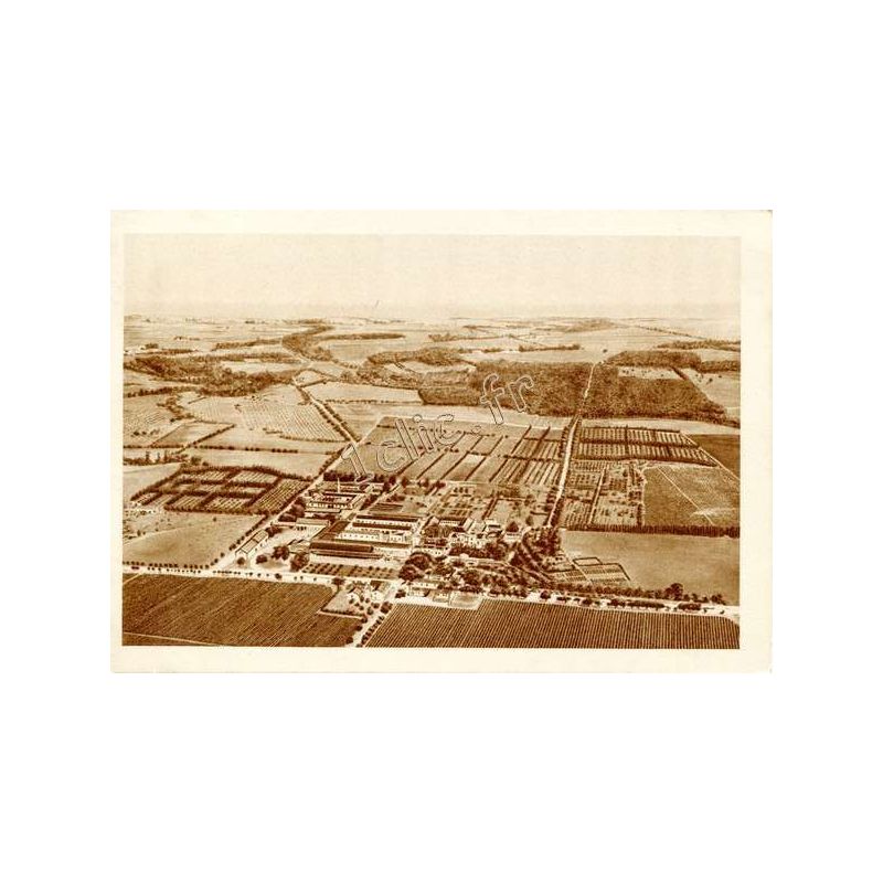 Staoueli