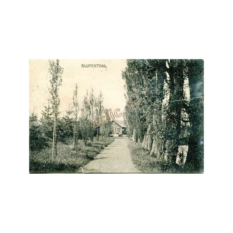 Pays-Bas-Vaals
