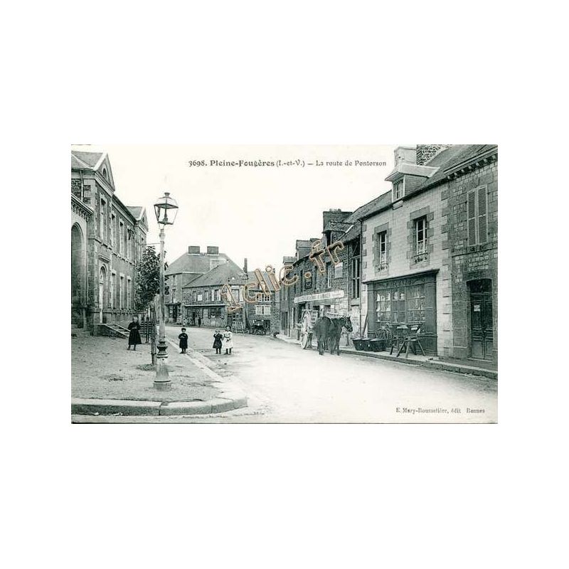 Pleine-Fougeres