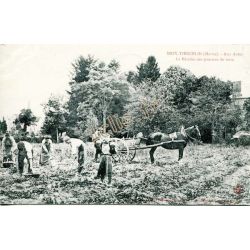 Le Meix-Tiercelin