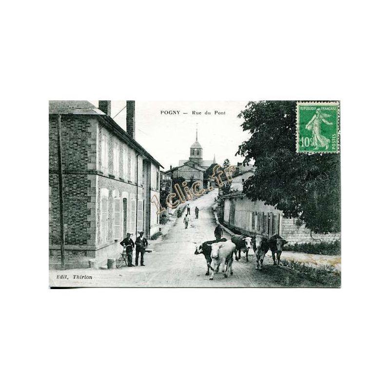 Pogny