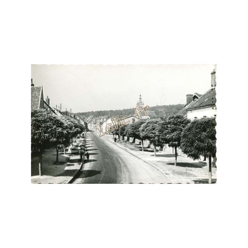 Saint-Martin-D'Ablois