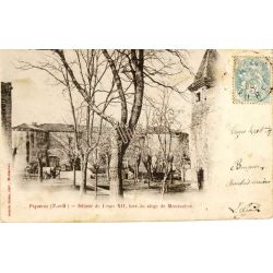 Piquecos
