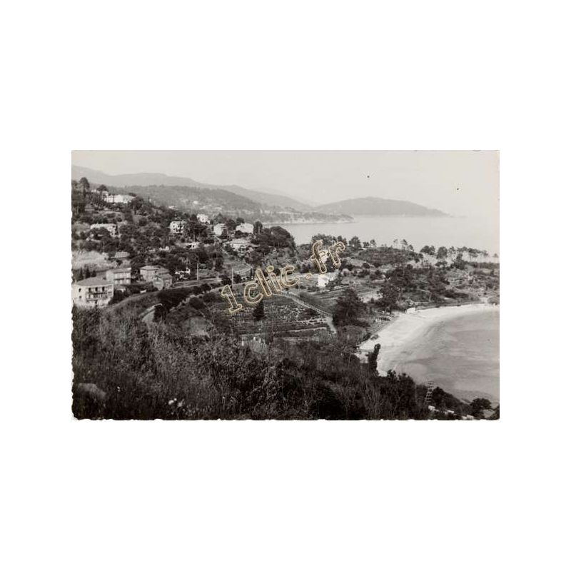 Fossette
