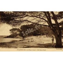 Ile-De-Porquerolles