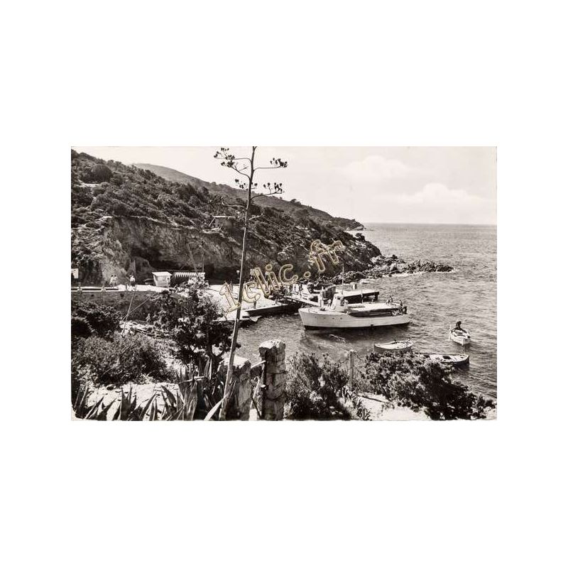Ile-Du-Levant