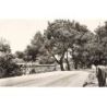 Buisson