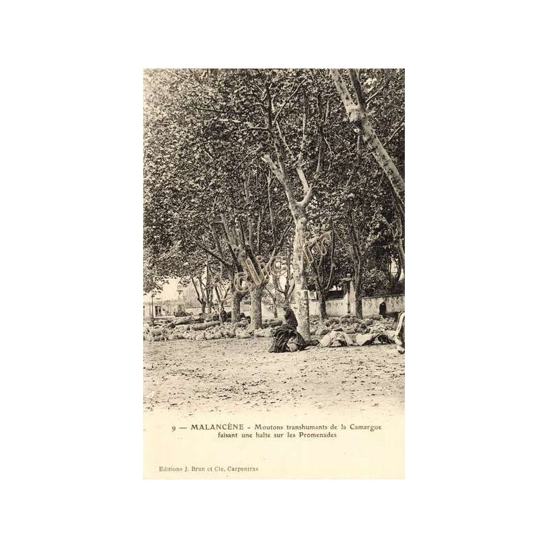Malaucene