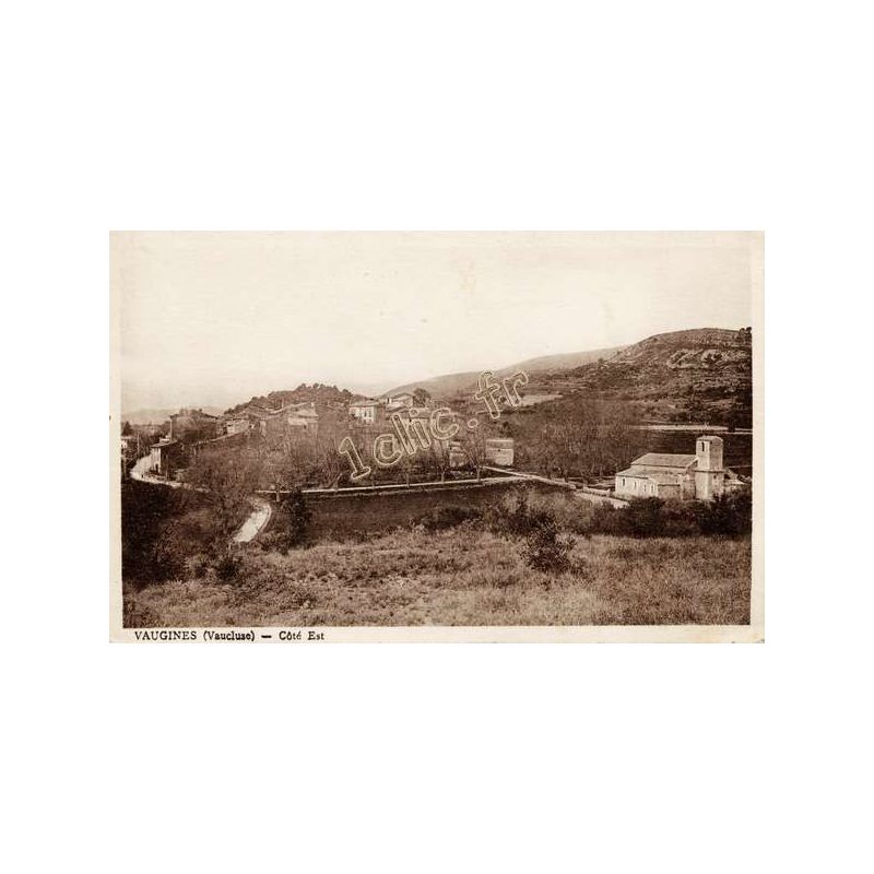 Vaugines
