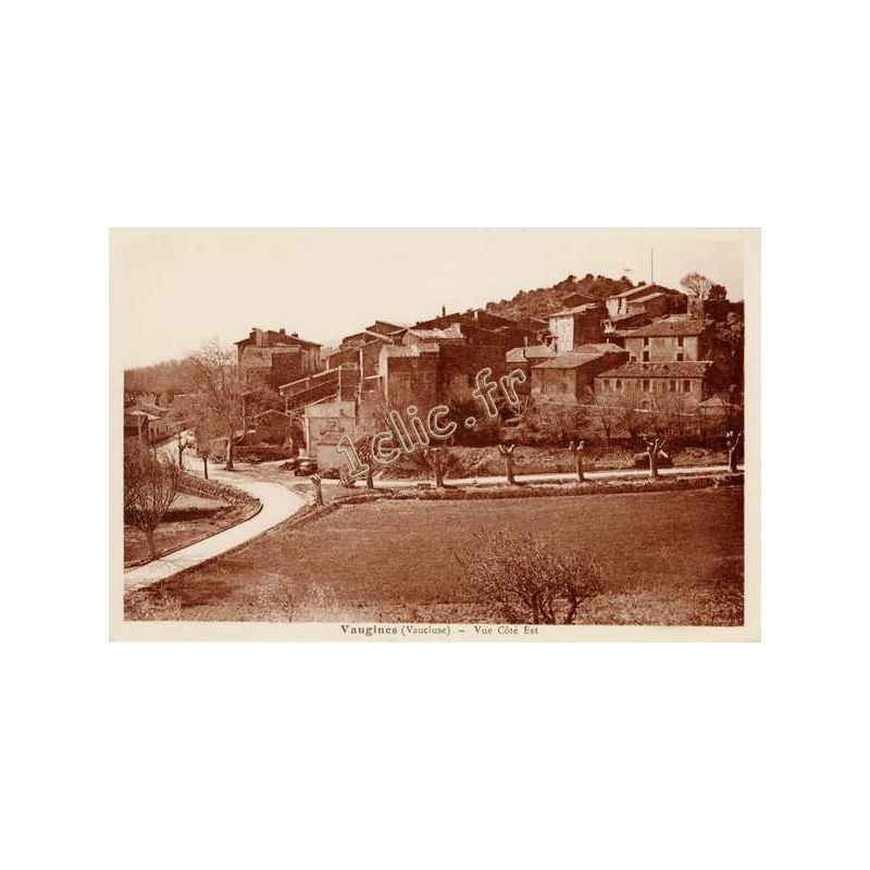 Vaugines