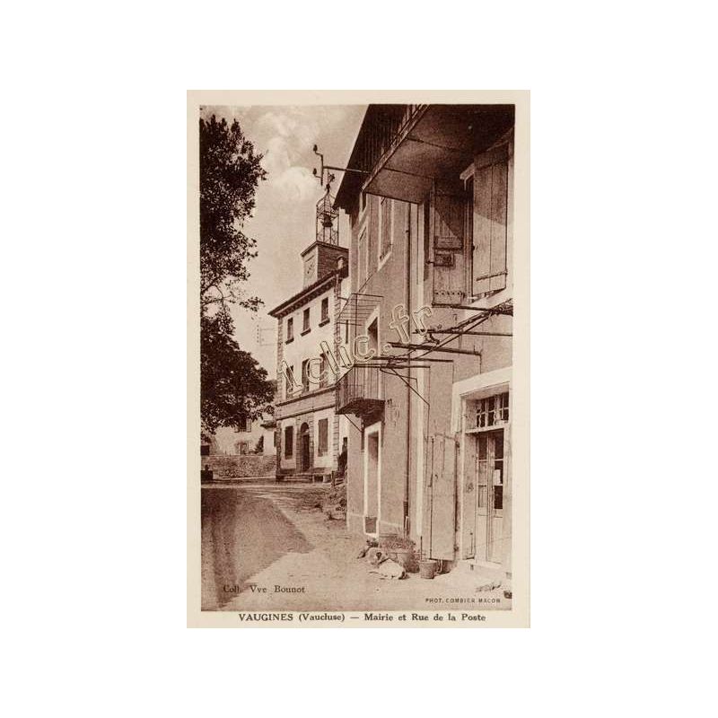 Vaugines